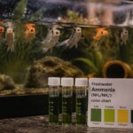 Aquarium Ammonia Spike: 7 Emergency Steps to Protect Your Fish