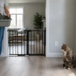 Cat Litter Boxes During Pest Control: Removal, Covering & Safe Re-Entry