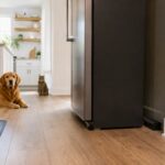 Borax Ant Baits Around Dogs & Cats: Risks & Safer Placement
