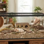 Best Hamster Enclosures: Tanks, Bins & Barred Cages Compared (2026)
