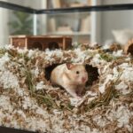 Best Hamster Bedding for Burrowing, Odor Control & Low Dust