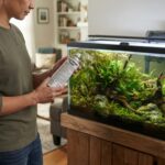 Bug Bombs Near Aquariums: Why Covering the Tank May Not Be Enough