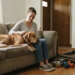 Bed Bug Treatment in Dog Homes: Crates, Bedding, Floor Residue & Re-Entry