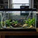 Aquarium Power Outage: Emergency Priorities for Oxygen, Heat & Filtration
