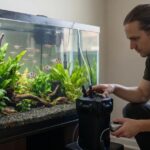 Fish Filter Stopped Overnight: Emergency Oxygen and Biofilter Steps